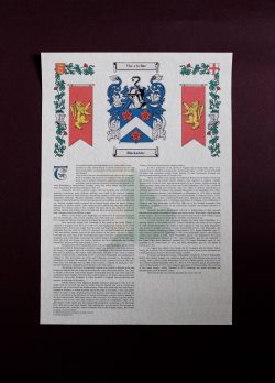 DSCF4385 DSCF4385